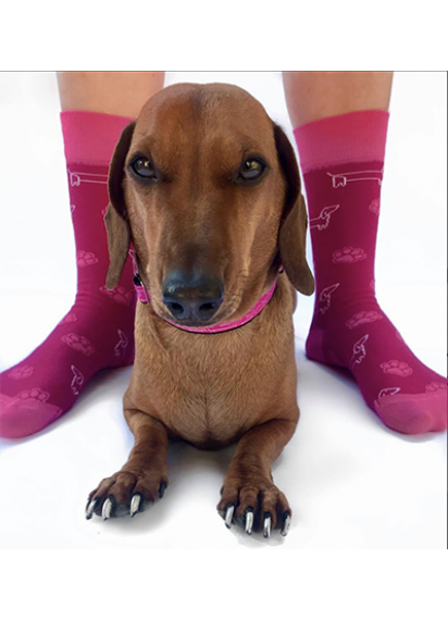 Dachshund Rescue socks